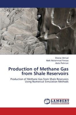Production of Methane Gas from Shale Reservoirs