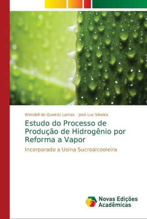 Estudo do Processo de Produ?o de Hidrog?io por Reforma a Vapor