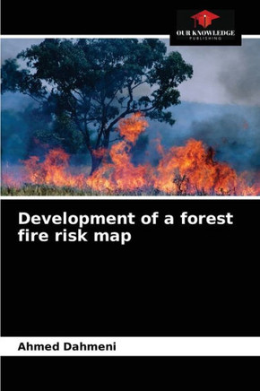 Development of a forest fire risk map
