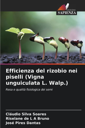 Efficienza del rizobio nei piselli (Vigna unguiculata L. Walp.)