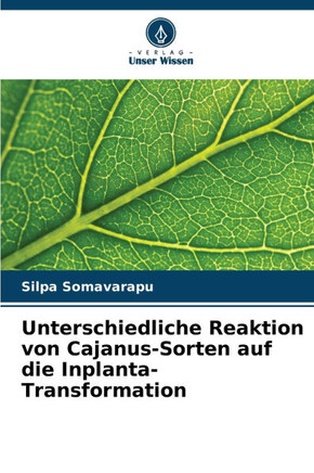 Unterschiedliche Reaktion von Cajanus-Sorten auf die Inplanta-Transformation
