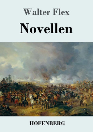 Novellen (German Edition)
