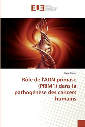R?e de l''adn primase (prim1) dans la pathog??e des cancers humains
