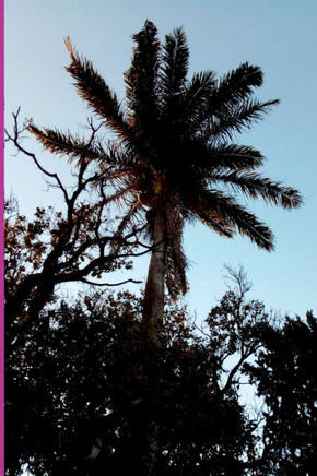 Micro Gotas De Sabedoria Em Uma Manh?Fria De Inverno.