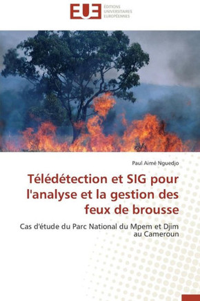 T???ection Et Sig Pour l'Analyse Et La Gestion Des Feux de Brousse