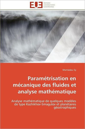 Param?risation En M?anique Des Fluides Et Analyse Math?atique