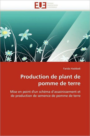 Production de Plant de Pomme de Terre
