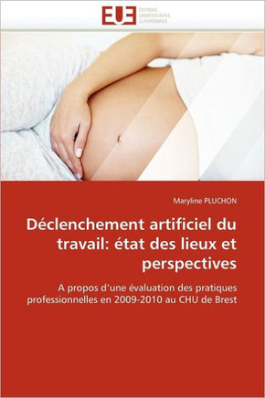 D?lenchement Artificiel Du Travail: ?at Des Lieux Et Perspectives