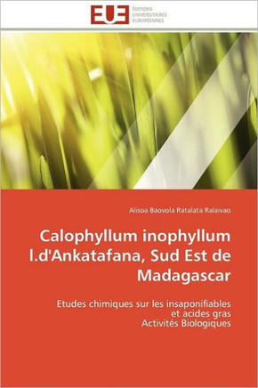 Calophyllum Inophyllum L.d'Ankatafana, Sud Est de Madagascar