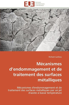 M?anismes D Endommagement Et de Traitement Des Surfaces M?alliques