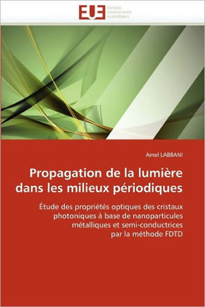 Propagation de la Lumi?e Dans Les Milieux P?iodiques