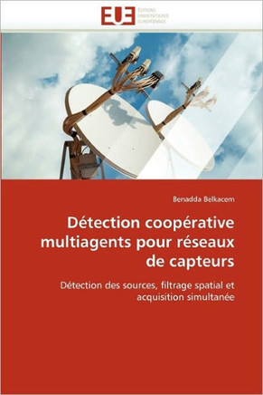D?ection Coop?ative Multiagents Pour R?eaux de Capteurs