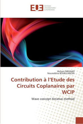 Contribution ?l''etude des circuits coplanaires par wcip
