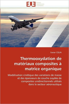 Thermooxydation de Mat?iaux Composites ?Matrice Organique