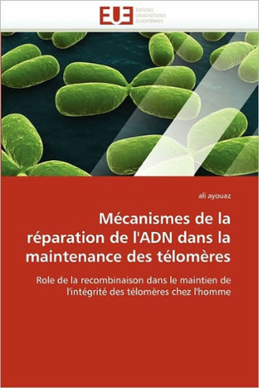 M?anismes de la R?aration de l''adn Dans La Maintenance Des T?om?es