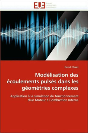 Mod?isation Des ?oulements Puls? Dans Les G?m?ries Complexes