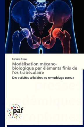 Mod?isation M?ano-Biologique Par ??ents Finis de l'Os Trab?ulaire