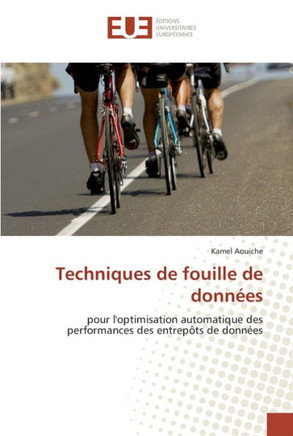 Techniques de fouille de donn?s