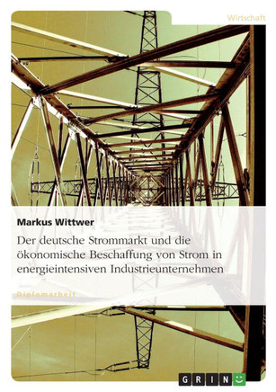 Der deutsche Strommarkt und die ?onomische Beschaffung von Strom in energieintensiven Industrieunternehmen