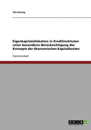 Eigenkapitalallokation in Kreditinstituten unter besonderer Ber?ksichtigung des Konzepts der ?onomischen Kapitalkosten