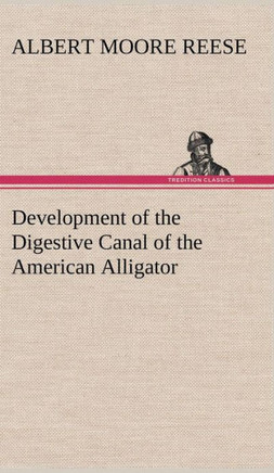 Development of the Digestive Canal of the American Alligator