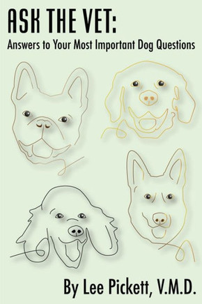 Ask The Vet: Answers To Your Most Important Dog Questions
