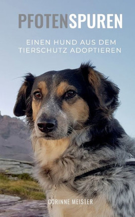 Pfotenspuren: Einen Hund aus dem Tierschutz adoptieren