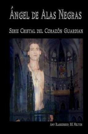 ?ngel de alas negras: El cristal del coraz?n guardi?n, 7? libro