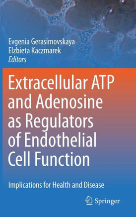 Extracellular ATP and Adenosine as Regulators of Endothelial Cell Function: Implications for Health and Disease