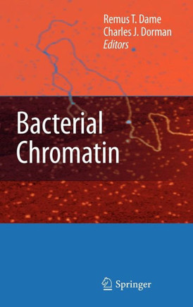 Bacterial Chromatin