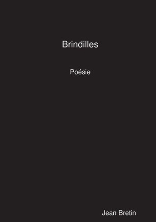 Brindilles (French Edition)
