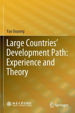 Large Countries' Development Path: Experience and Theory