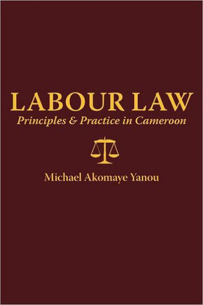 Labour Law: Principles and Practice in Cameroon