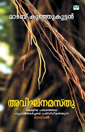 Avignamasthu