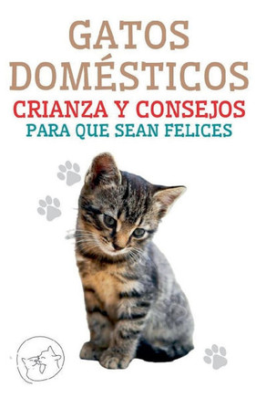 Gatos Dom?sticos Crianza y Consejos Para que Sean Felices