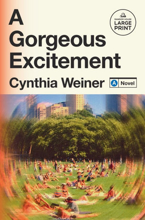 A Gorgeous Excitement - Large Print