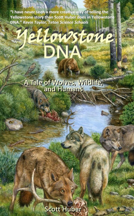 Yellowstone DNA: A Tale of Wolves, Wildlife and Humans