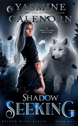 Shadow Seeking: An Urban Fantasy Adventure