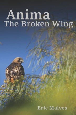 Anima: The Broken Wing