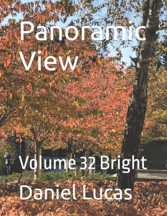 Panoramic View: Volume 32 Bright
