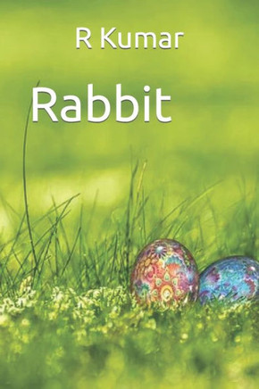 Amazing Rabbit drawing book