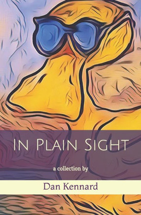 In Plain Sight: a collection by