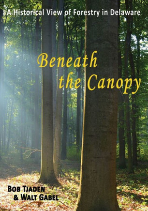 Beneath the Canopy: A Historical View of Forestry in Delaware