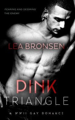 Pink Triangle: A WWII Gay Romance