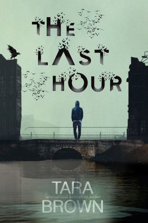 The Last Hour: A Post-Apocalyptic Survival Thriller