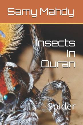 Insects In Quran: Spider