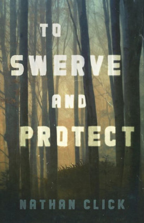 To Swerve and Protect