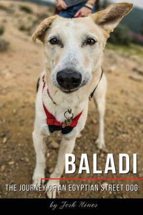 Baladi: The Journey of an Egyptian Street Dog