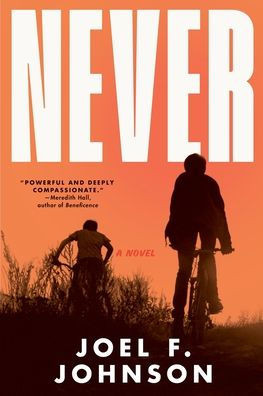 Never: A Novel