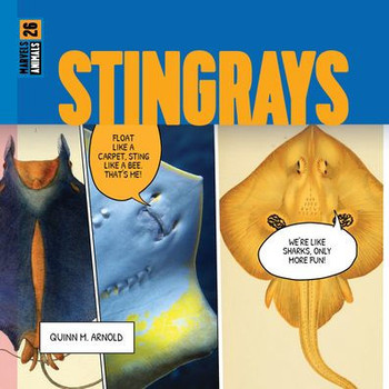 Stingrays